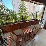 Orange Garden