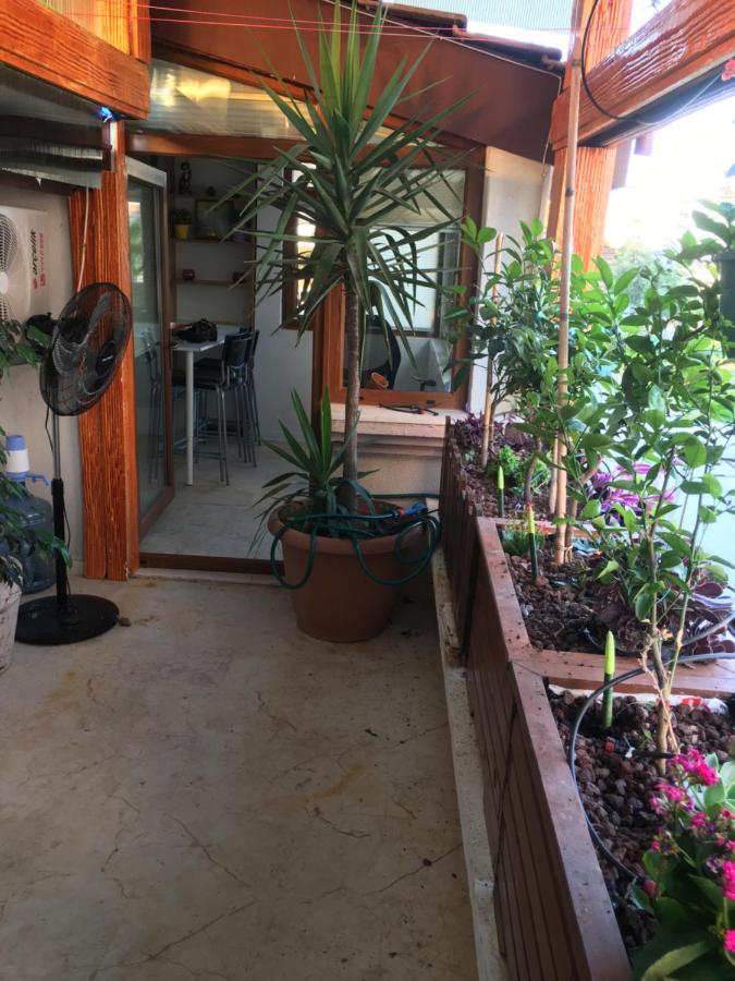 Homestay Orange Garden Antalya