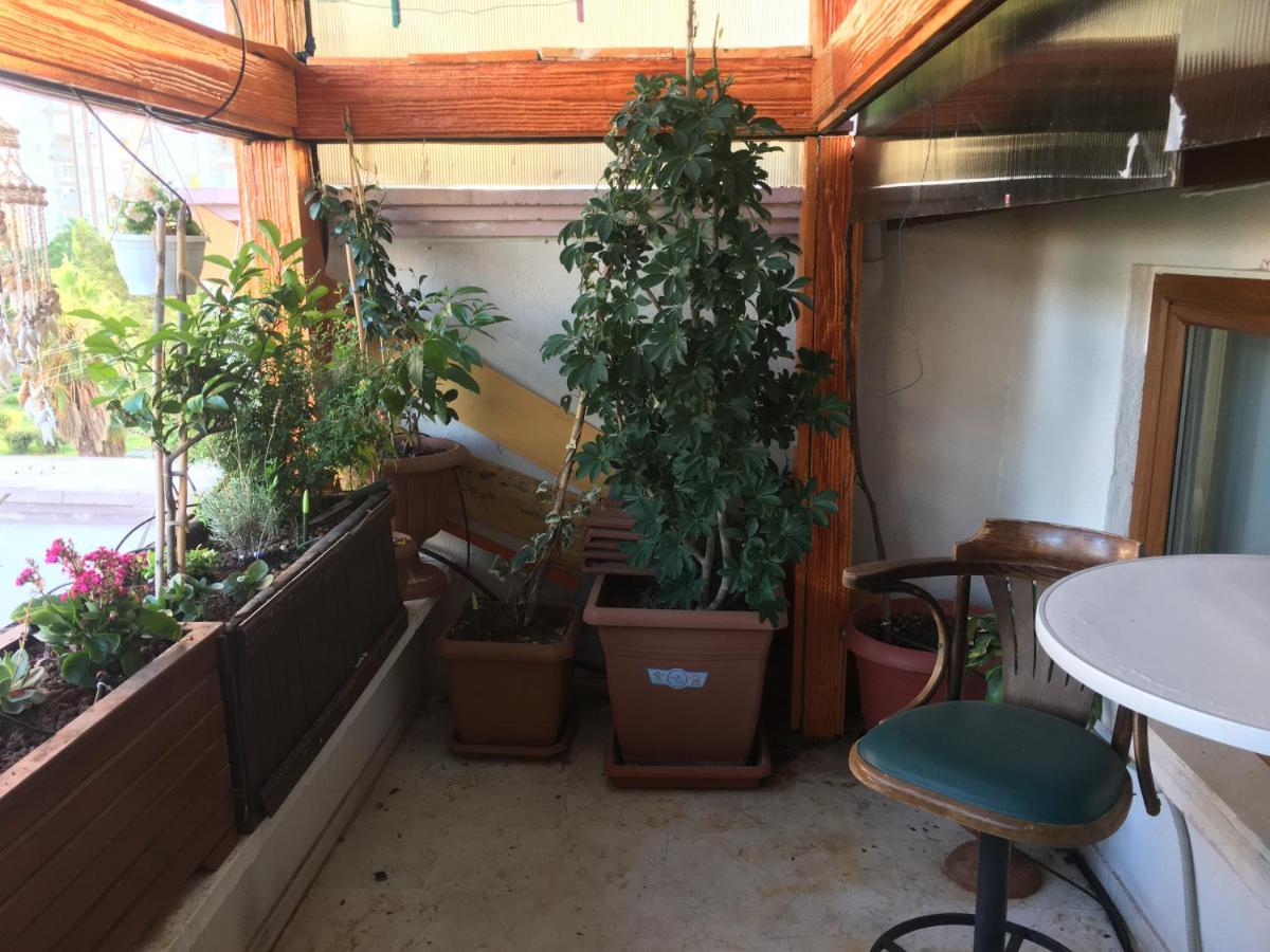 Homestay Orange Garden
