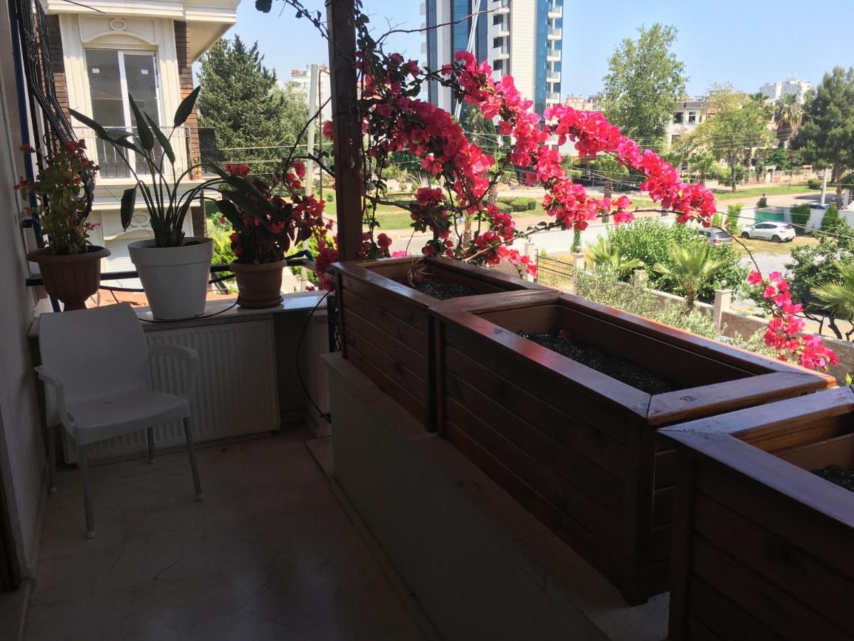Homestay Orange Garden