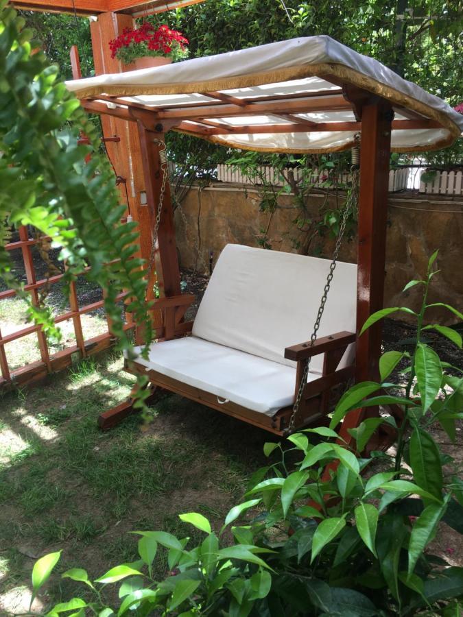 Homestay Orange Garden