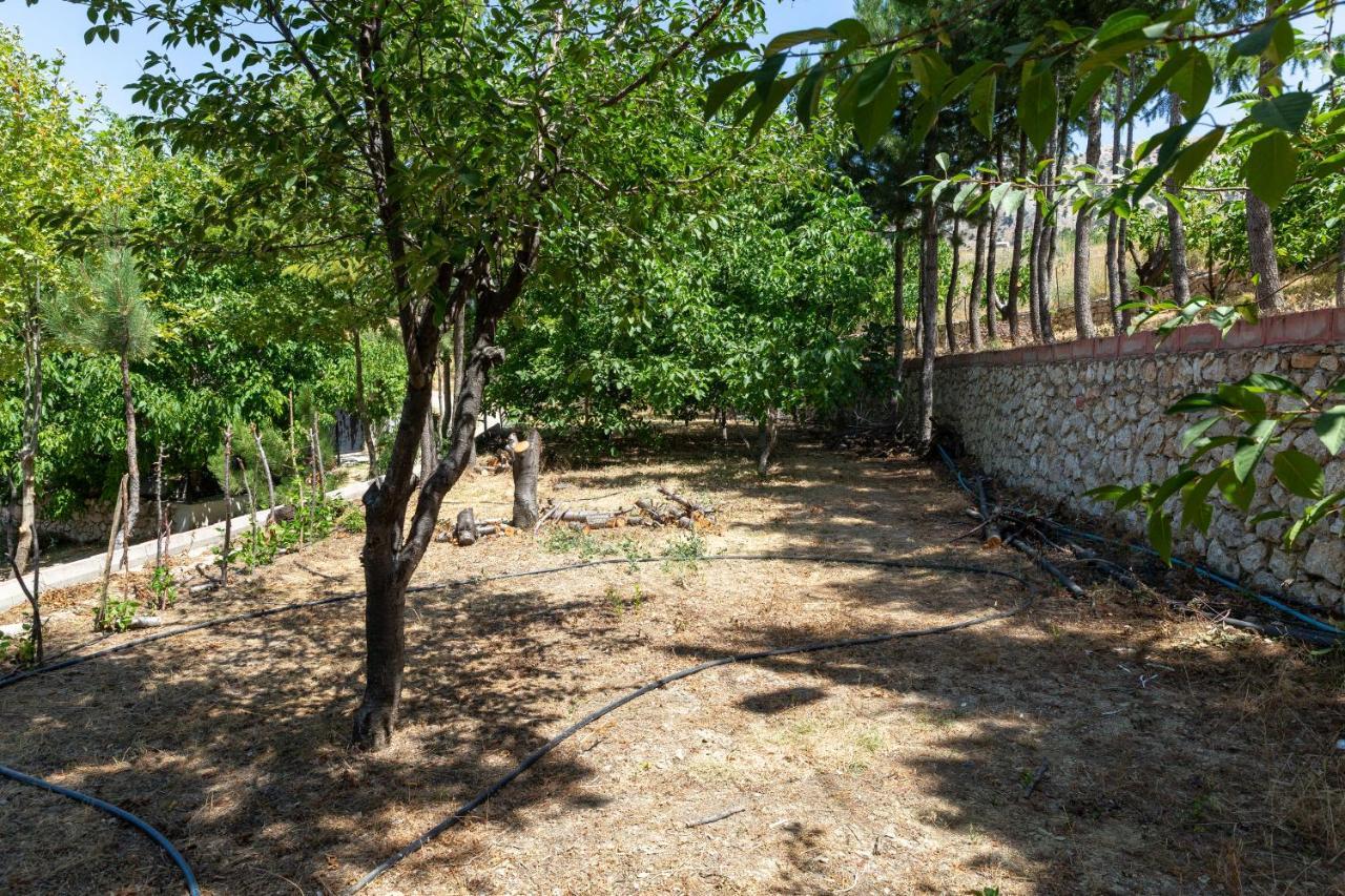 Feslikan Chalet Dağ evi *