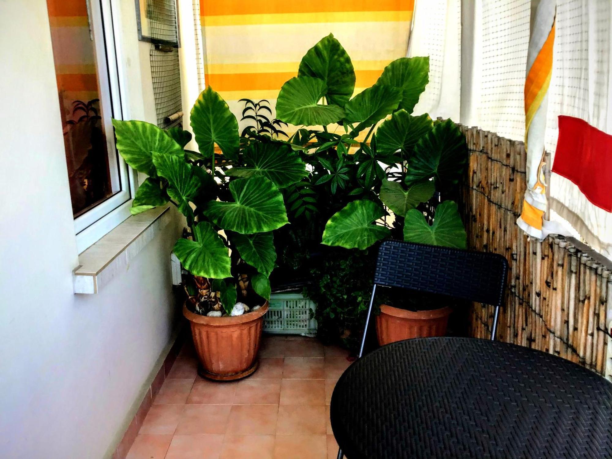 Homestay Antalyaloft