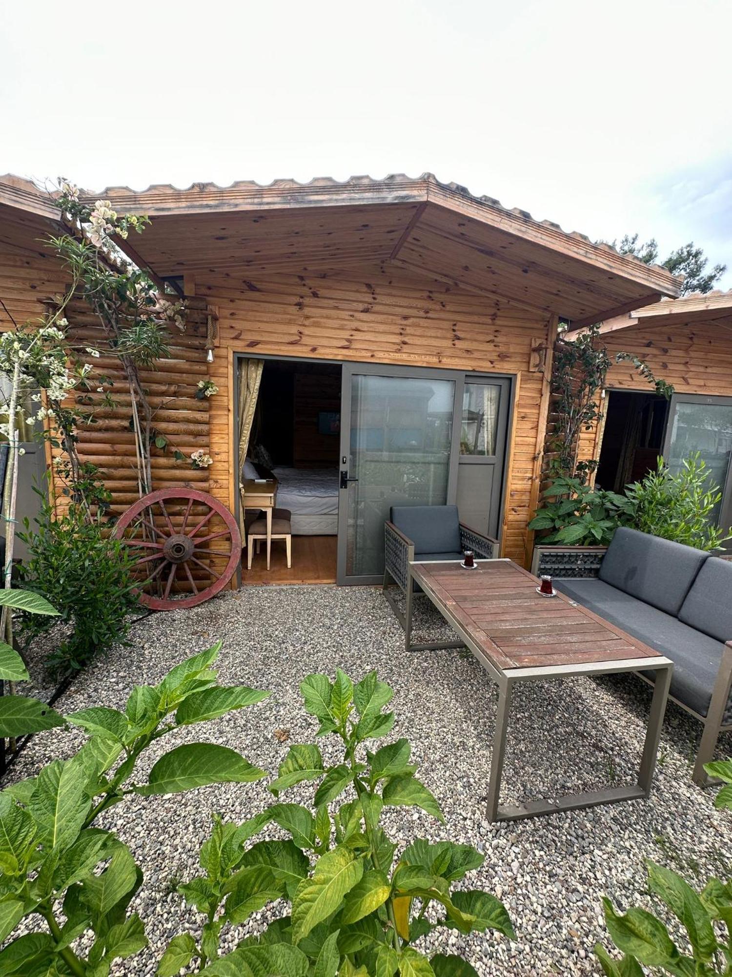 White Country Tree House And Otel