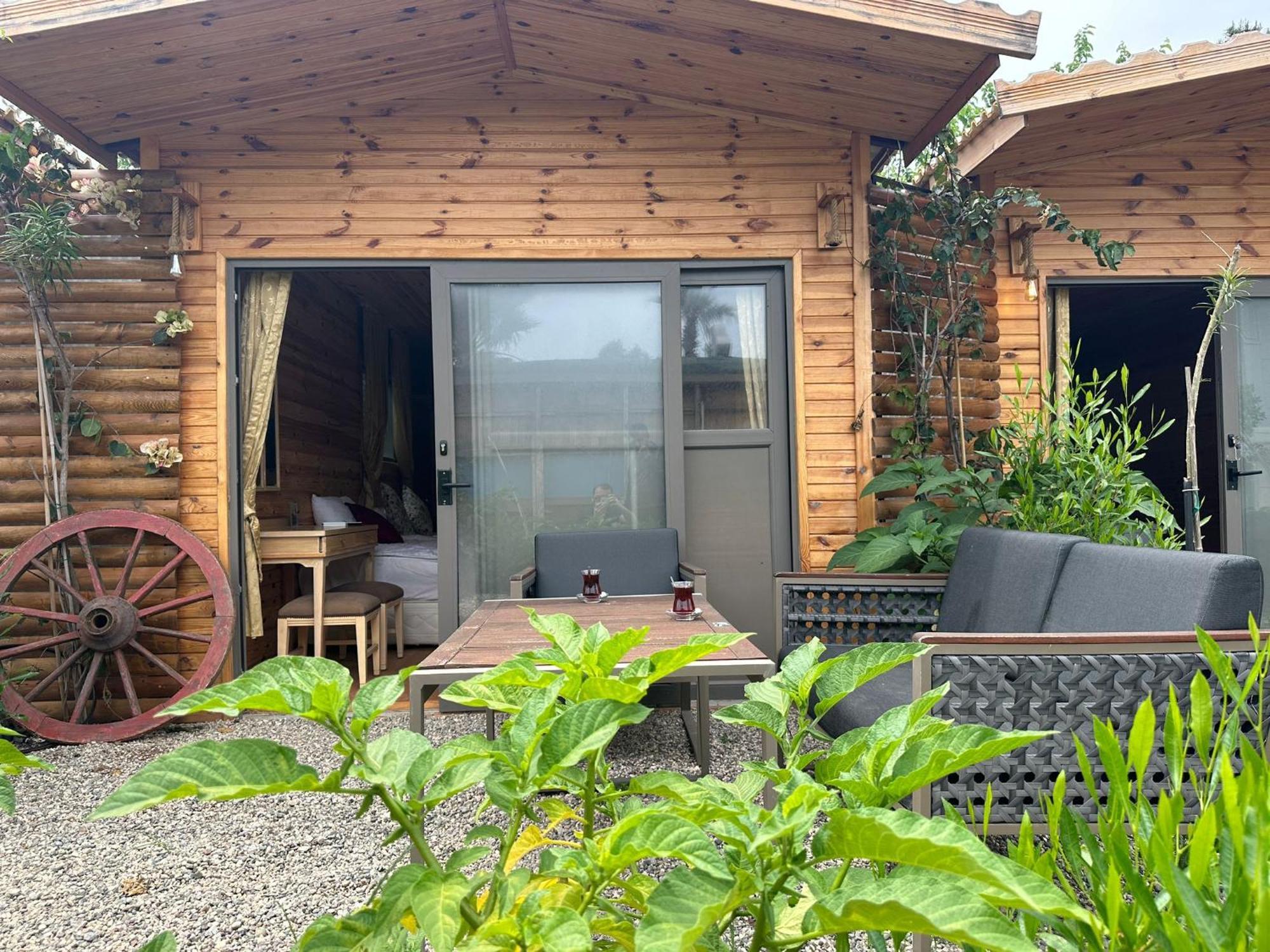 White Country Tree House And 3*