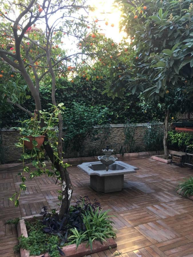 Homestay Orange Garden *