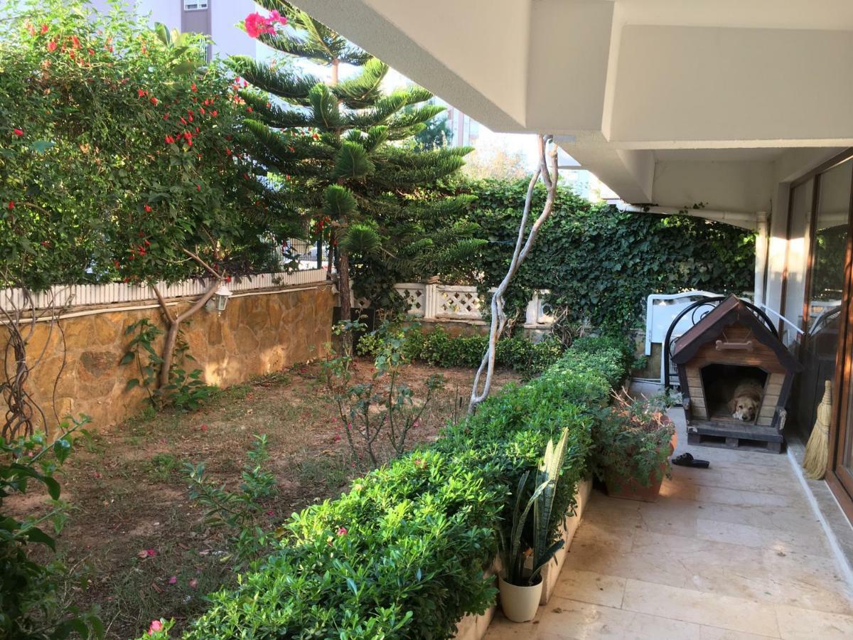Orange Garden Homestay *
