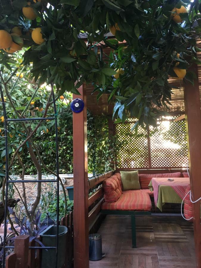 Orange Garden Homestay *