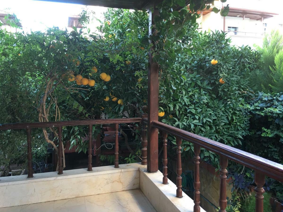 Orange Garden Homestay