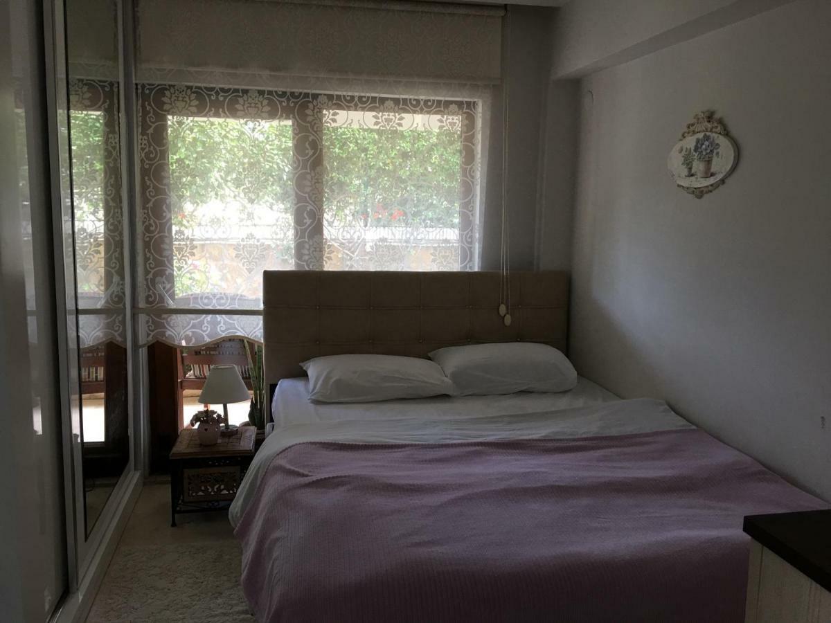 Homestay Orange Garden *