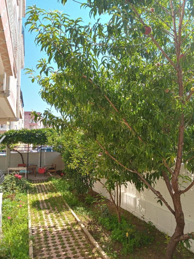 Apartment Bulut
