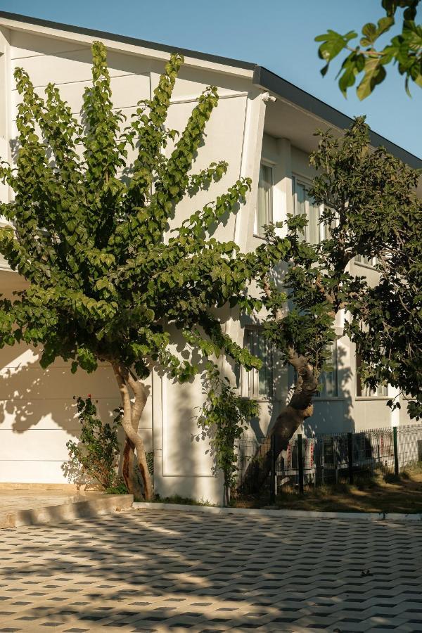 Raw Otel Antalya