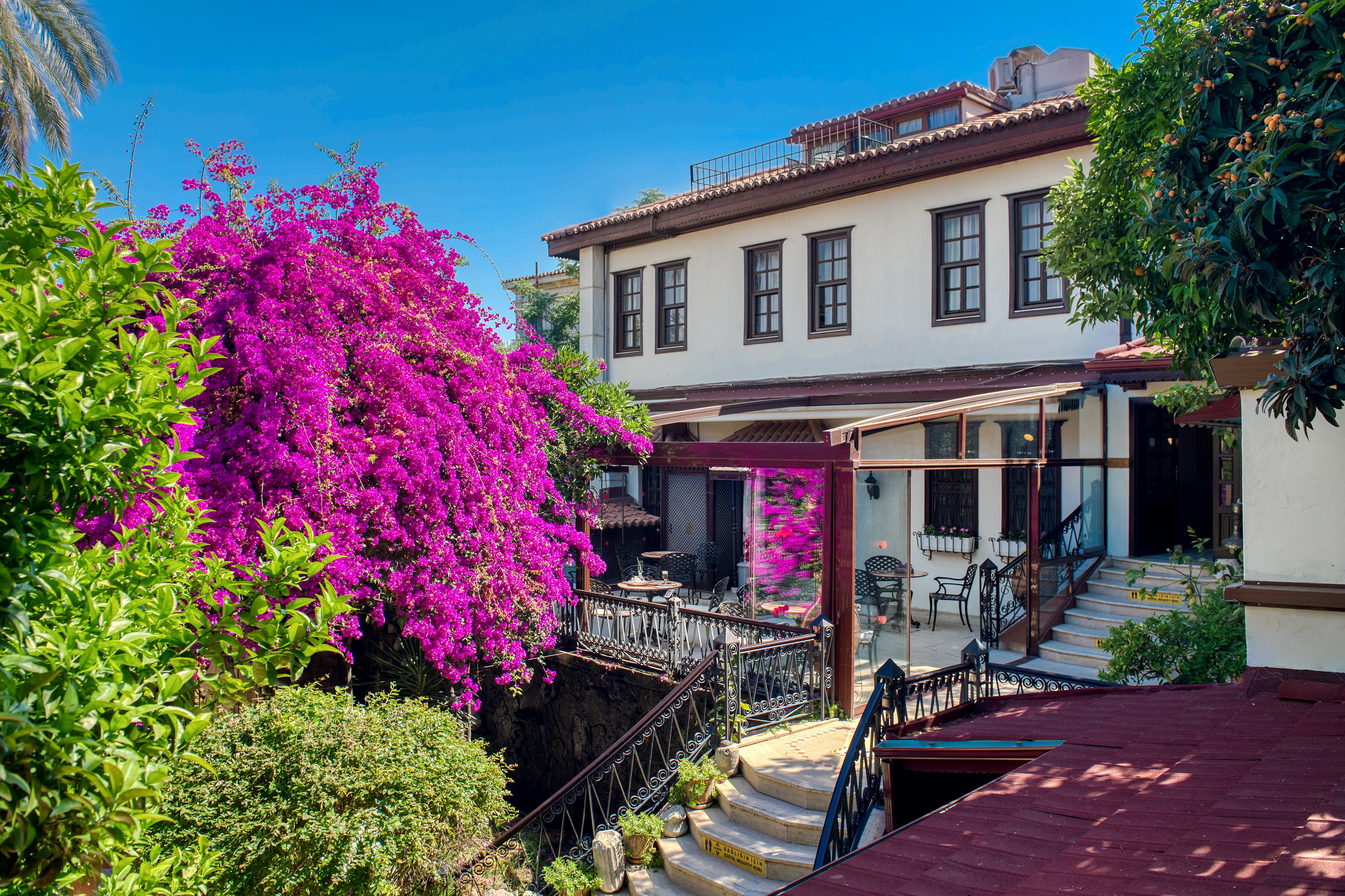 Hotel Dogan