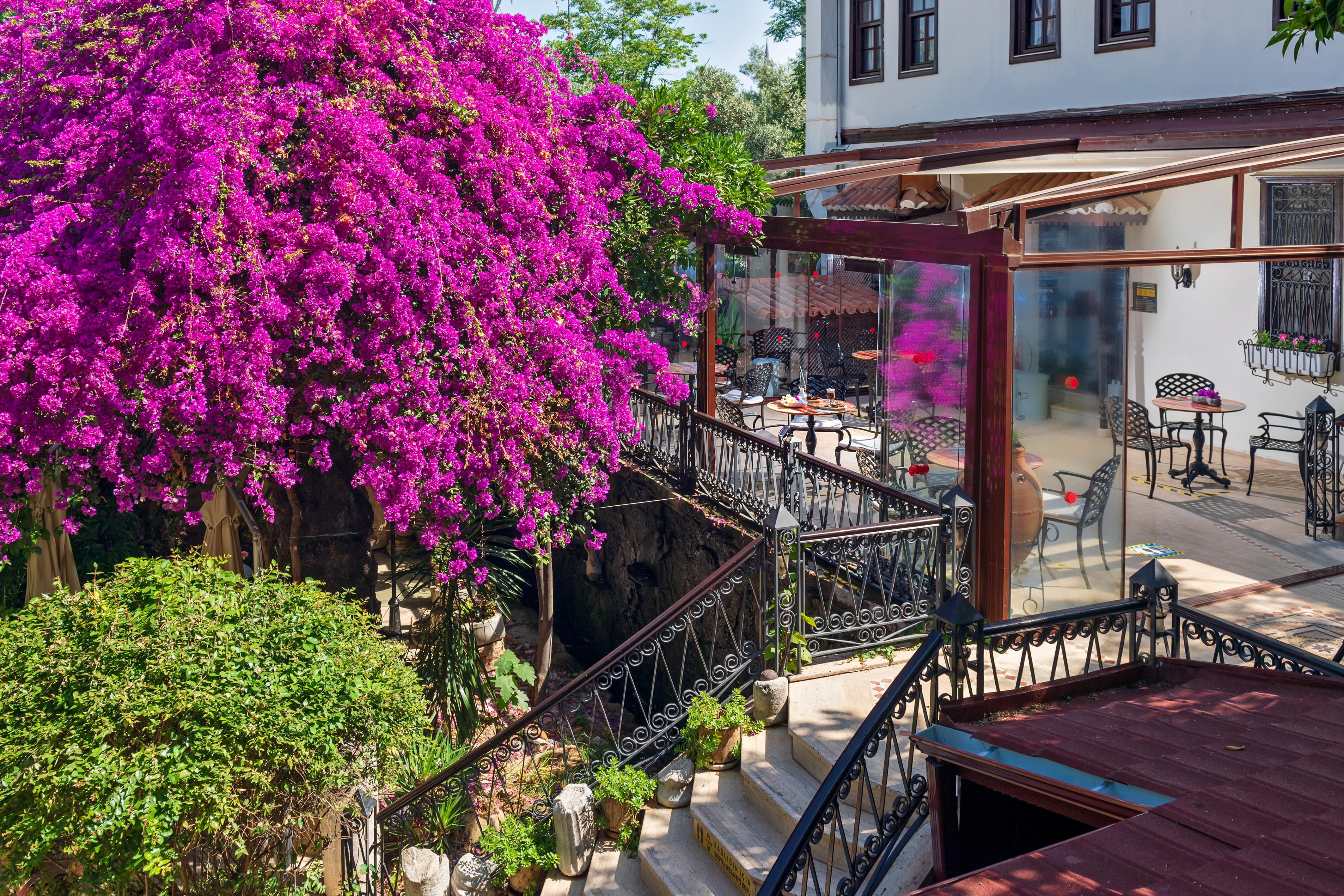 Dogan Hotel Antalya