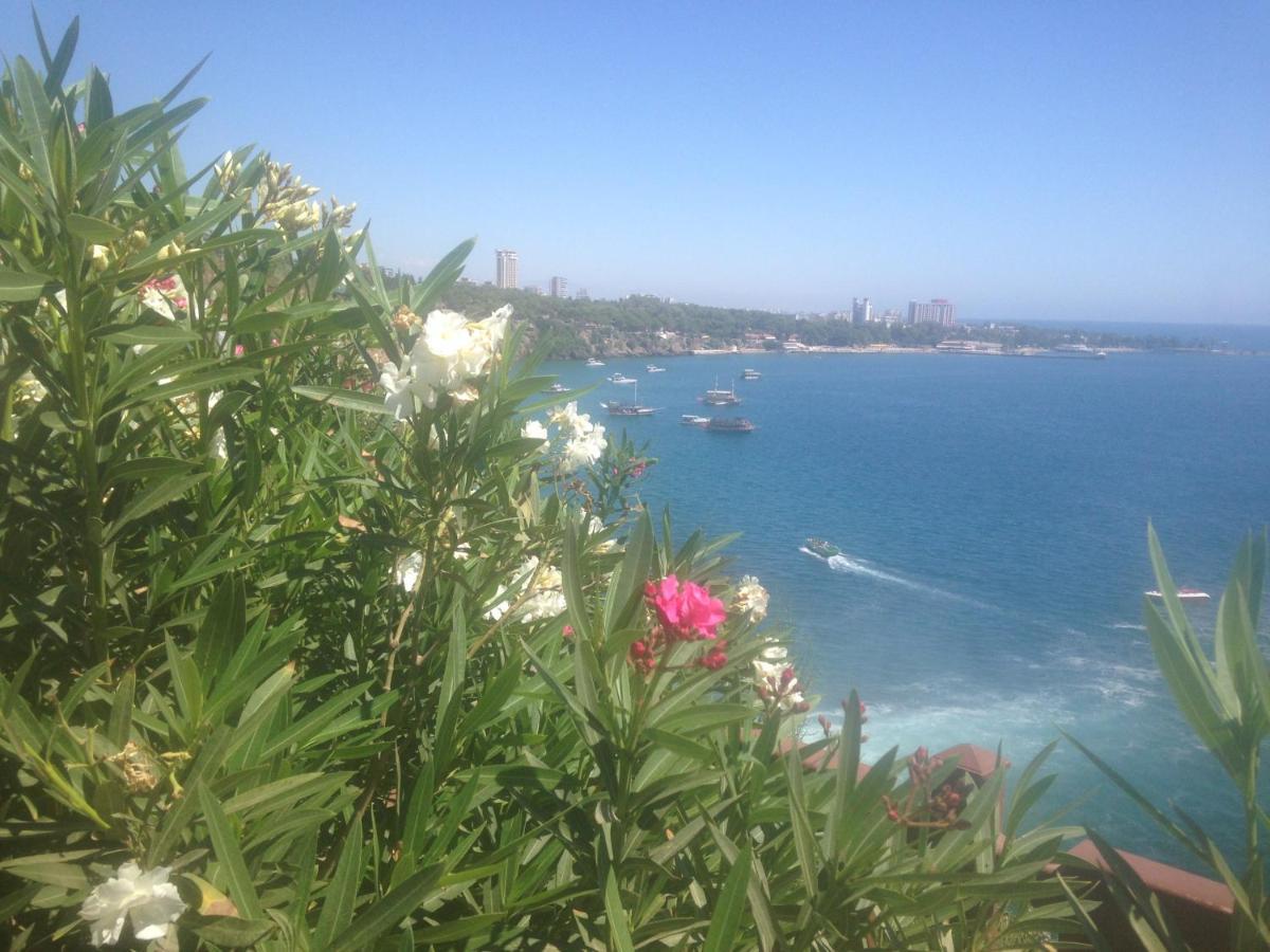 Apartment 4 Persons Flat House - Cheap Homestay Sleeping Place Antalya
