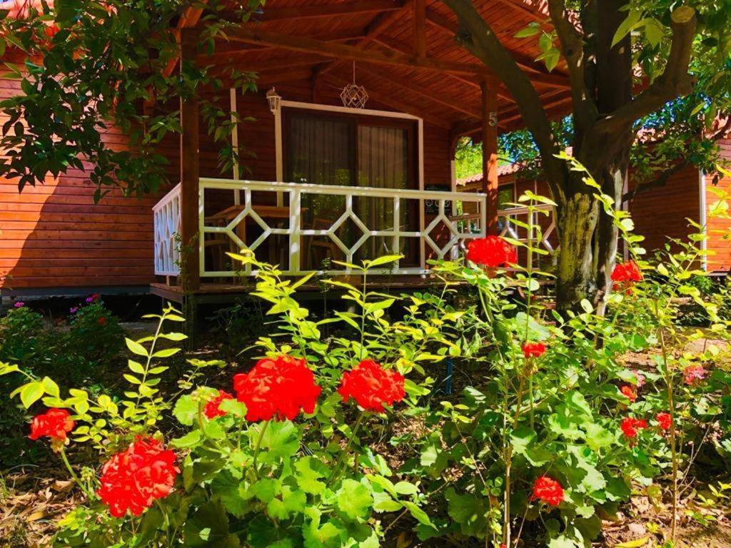 Village Garden Pansiyon