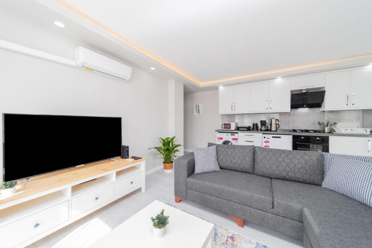 Modern And Fully Furnished Flat In Apartment