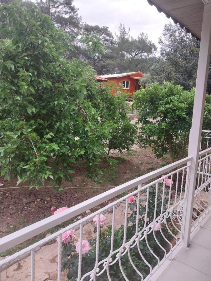 Village Garden Pansiyon *