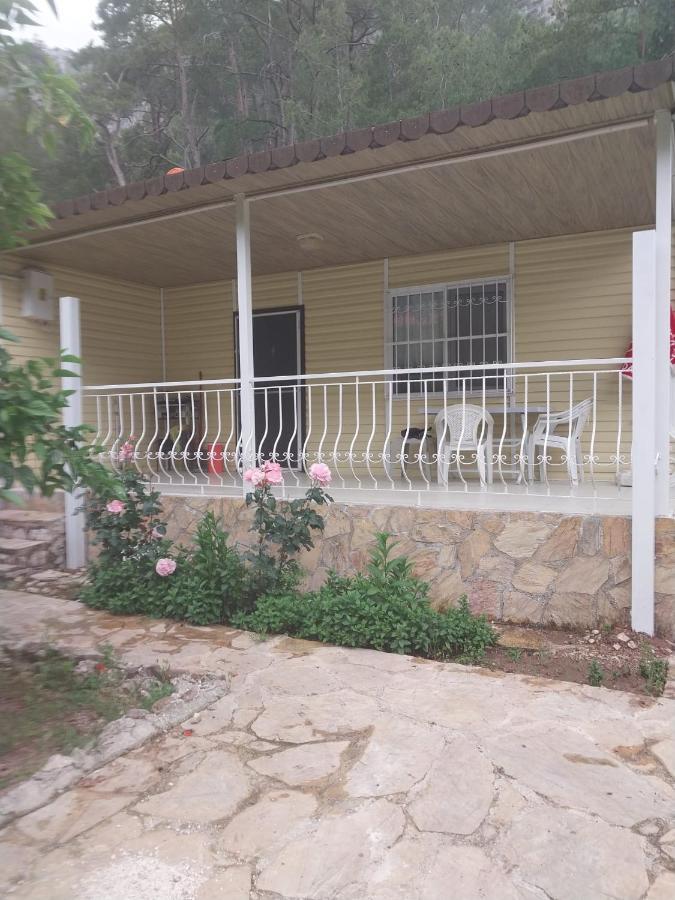 Village Garden Pansiyon