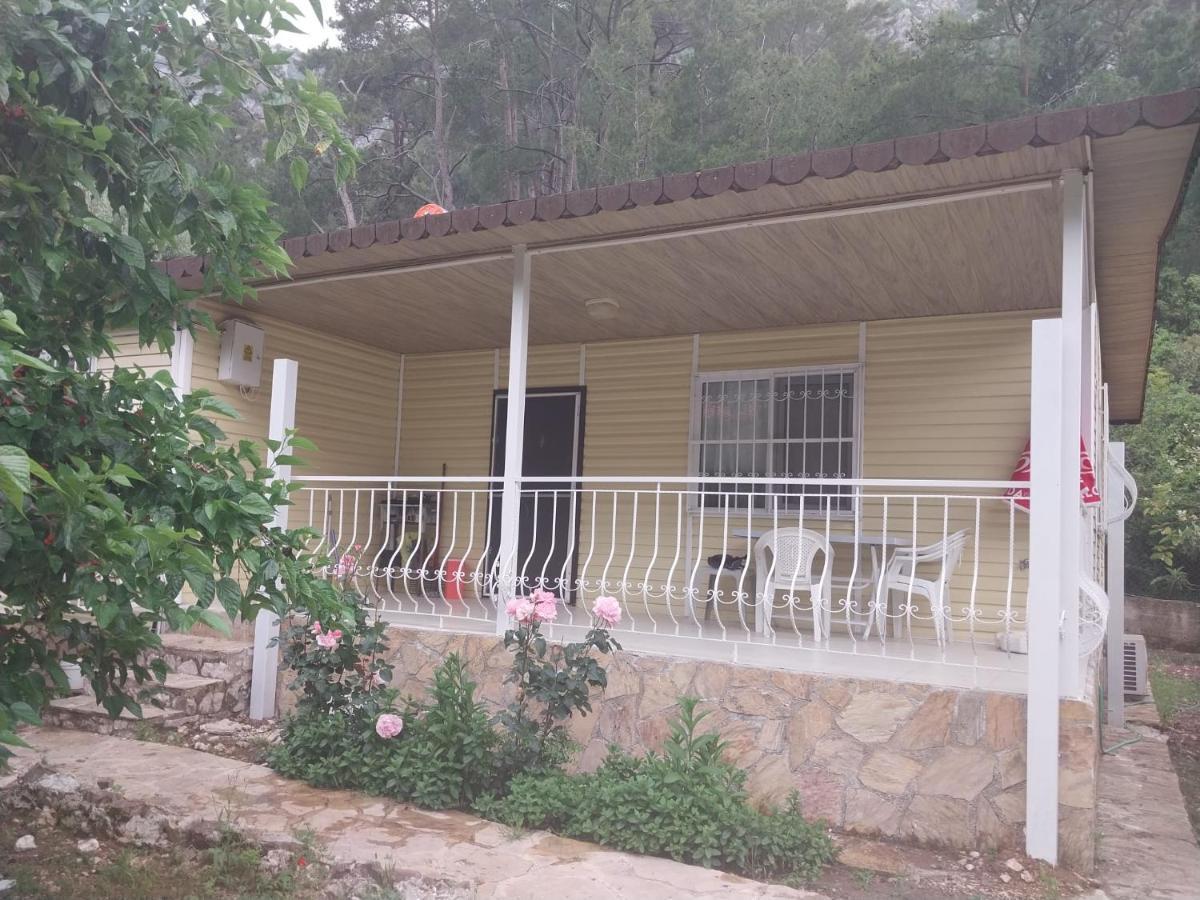 Pansiyon Village Garden