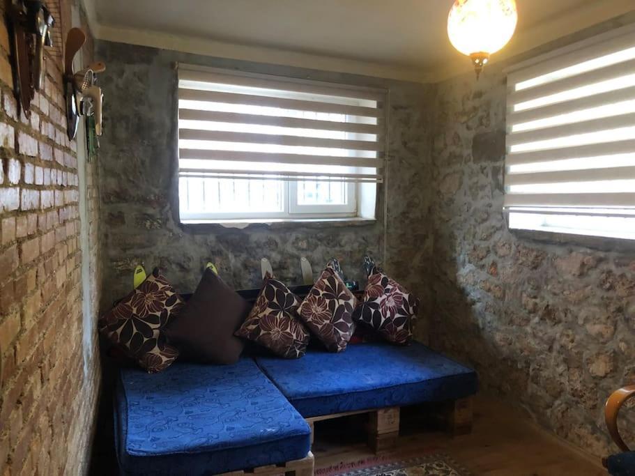 Apartment Ozzy Homes