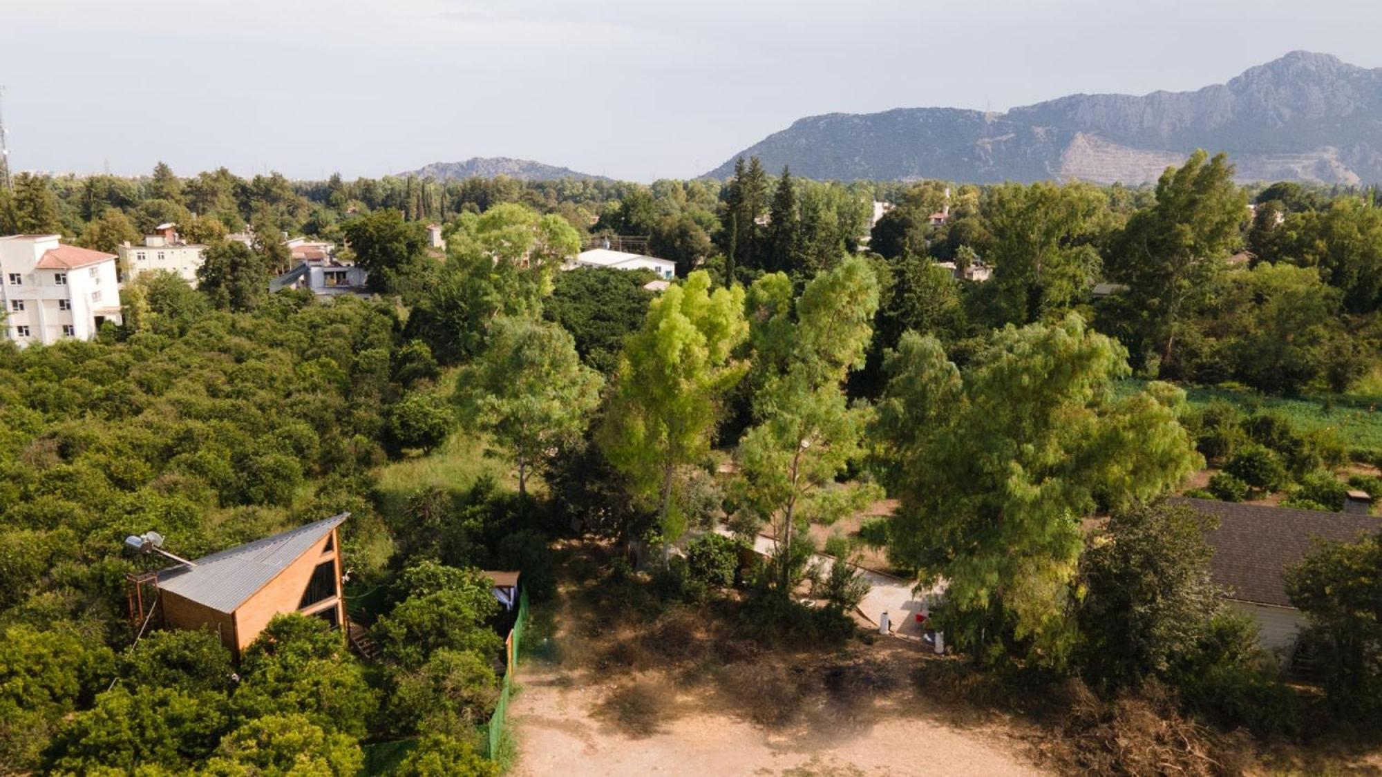 Guest house Peaceful Bungalow In Nature W Garden In *
