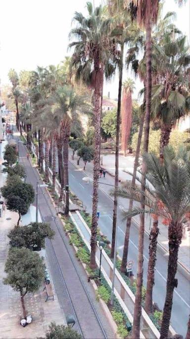 Esra Apartment Antalya