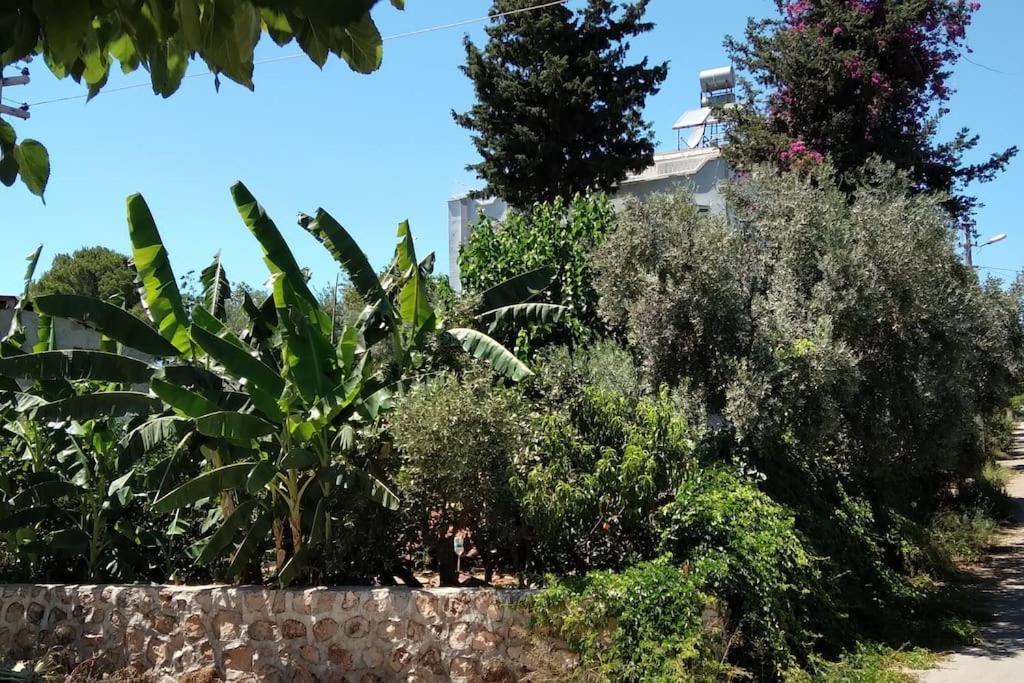 Holiday home Murat Coban