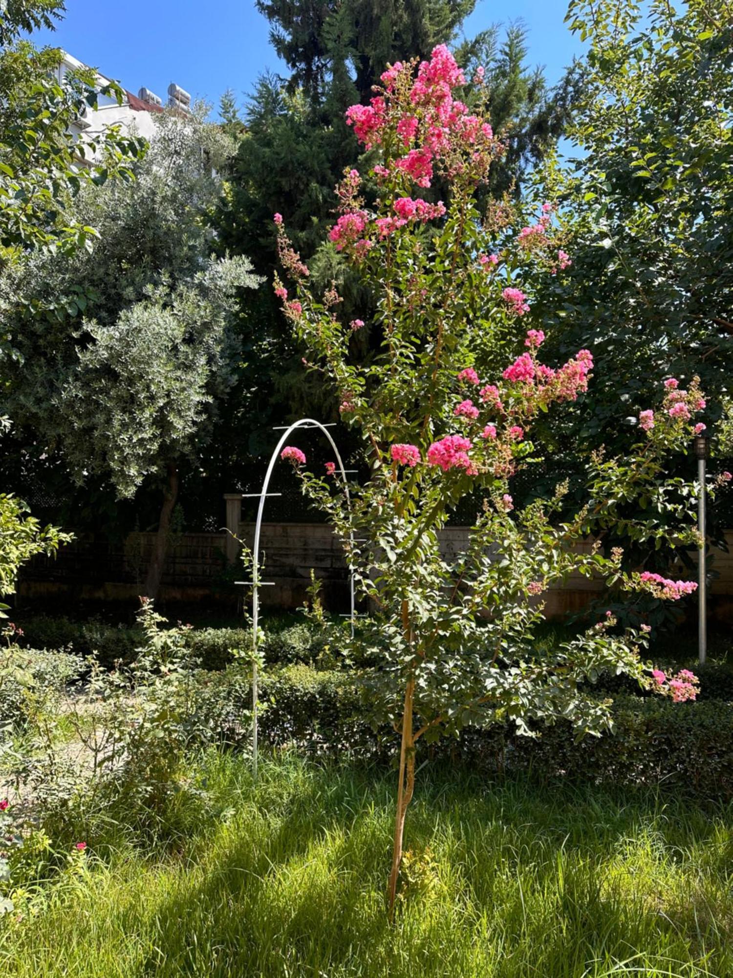 Villa Havuzlu Bahceli