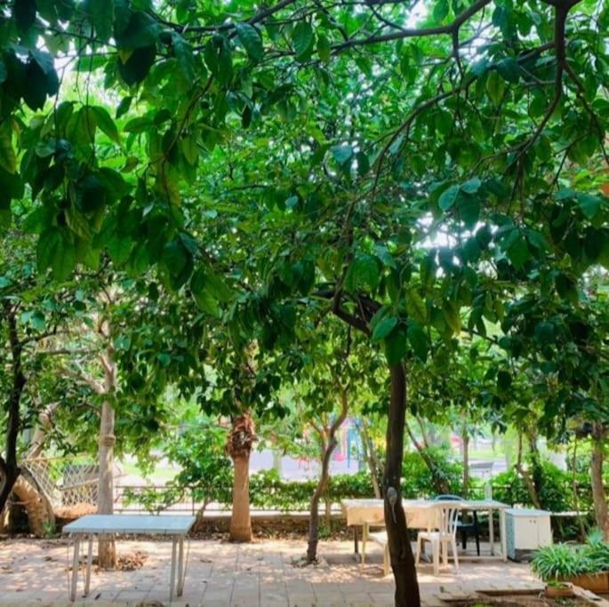 Denize Yakin, Ferah Antalya