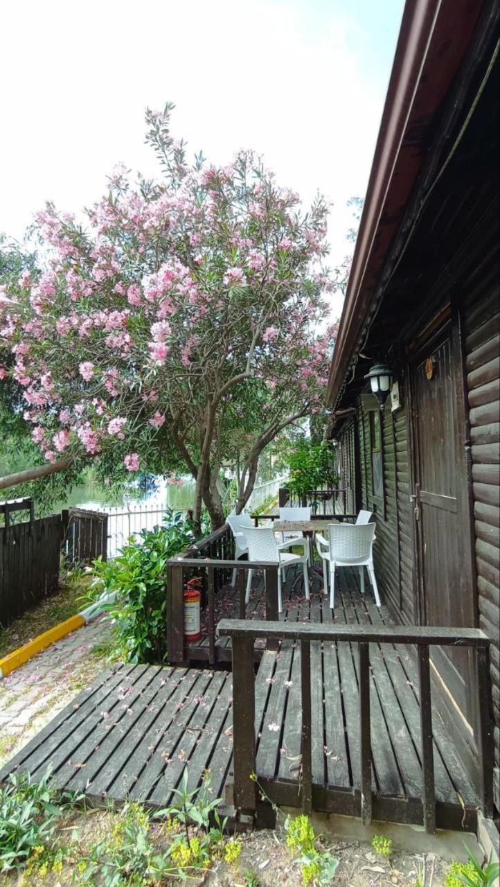 Lemon House *