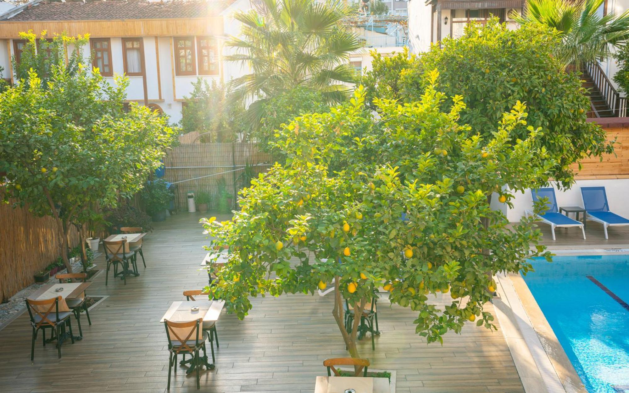 Hotel Oscar Garden
