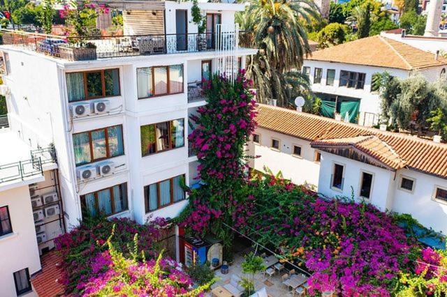 Hotel Patron Antalya