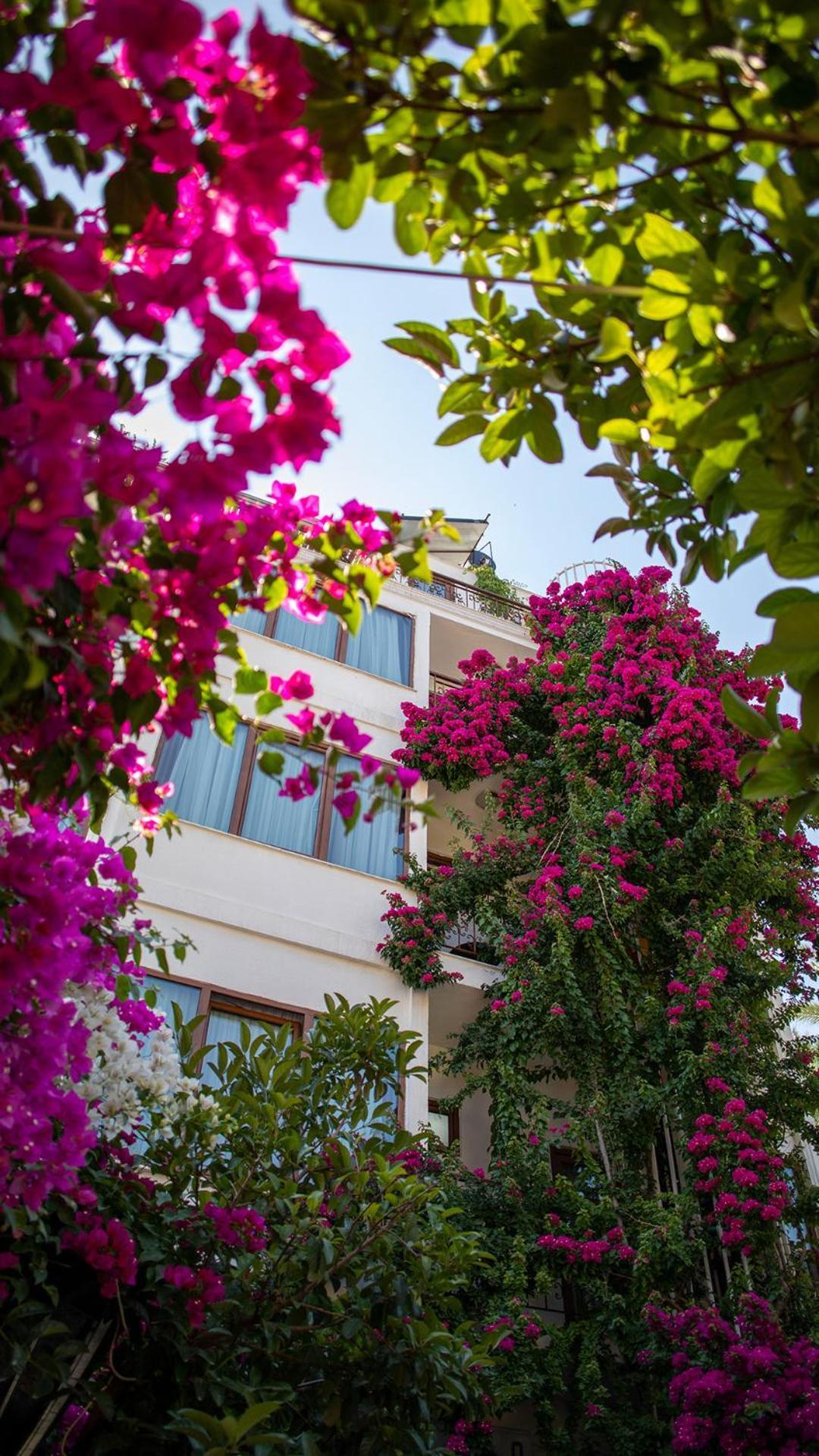 Patron Hotel Antalya