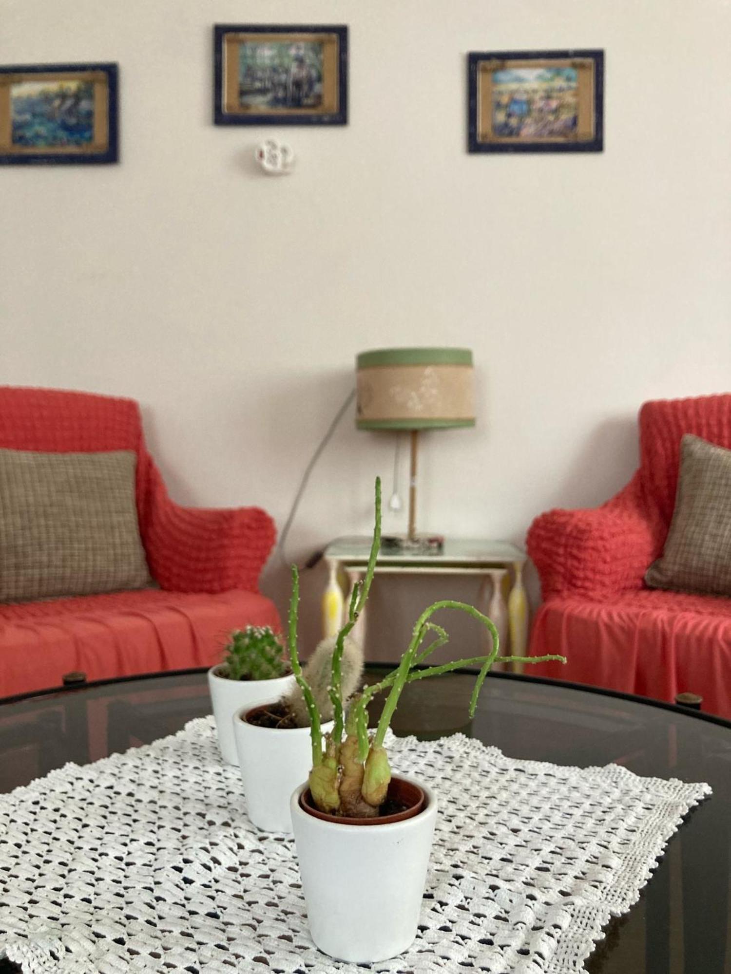 Apartment Large And Cosy Family House In Center Antalya