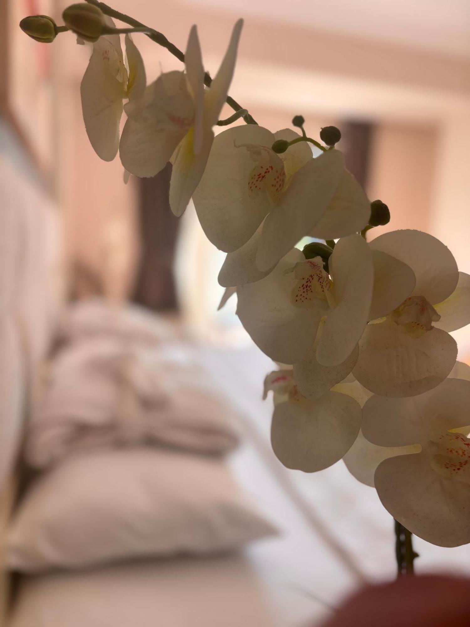 Grand Mir'amor Hotel&spa Hotel 5*