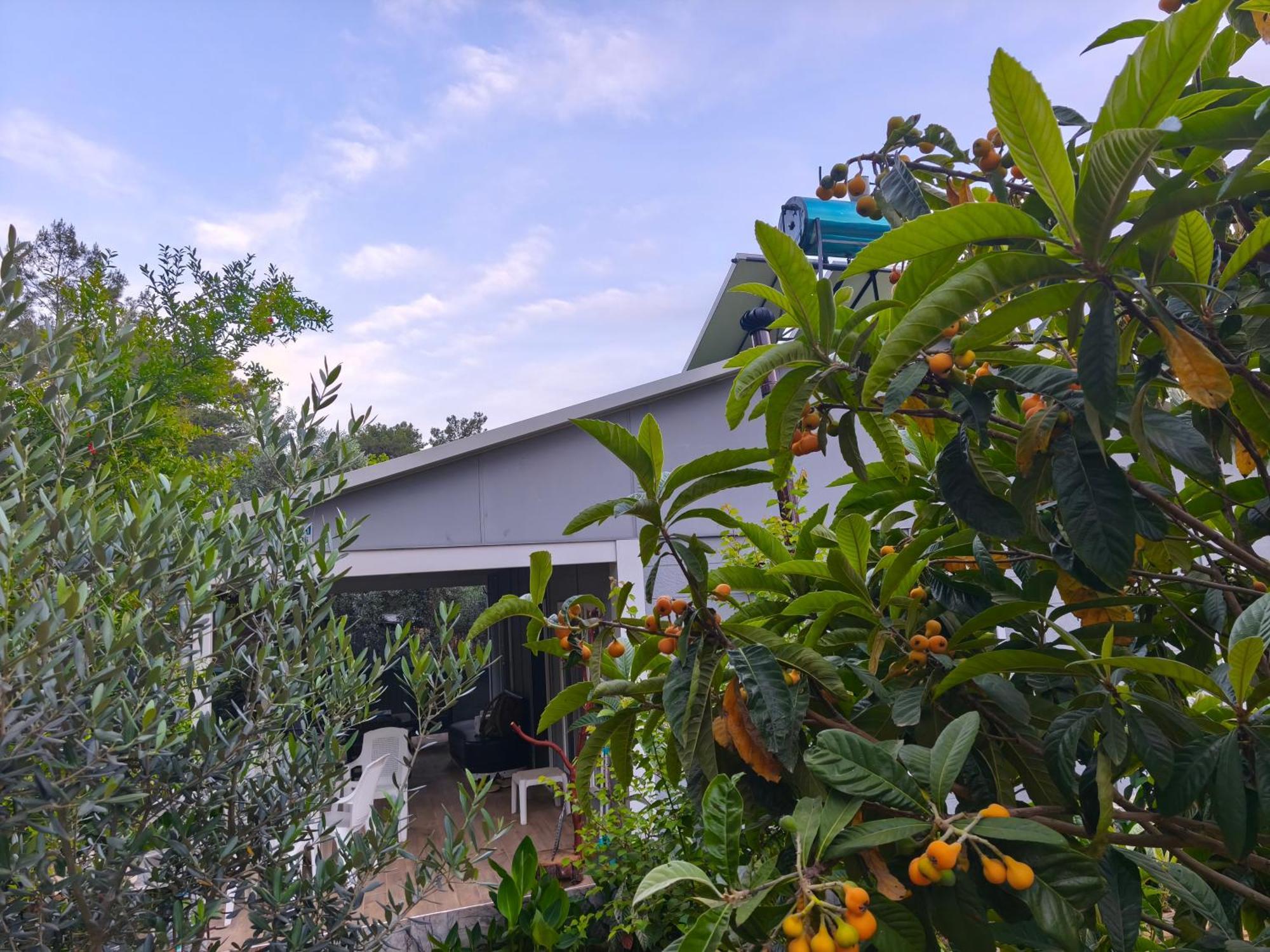 Gelidonia Fenerium Holiday home