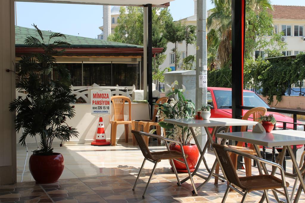 Mimoza Homestay Antalya