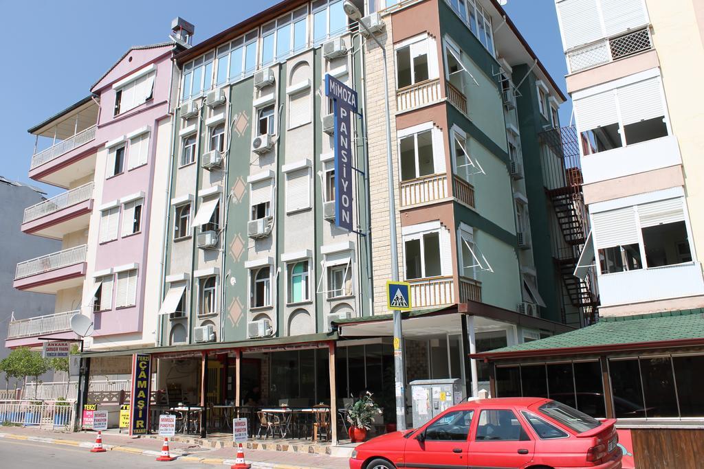 Homestay Mimoza