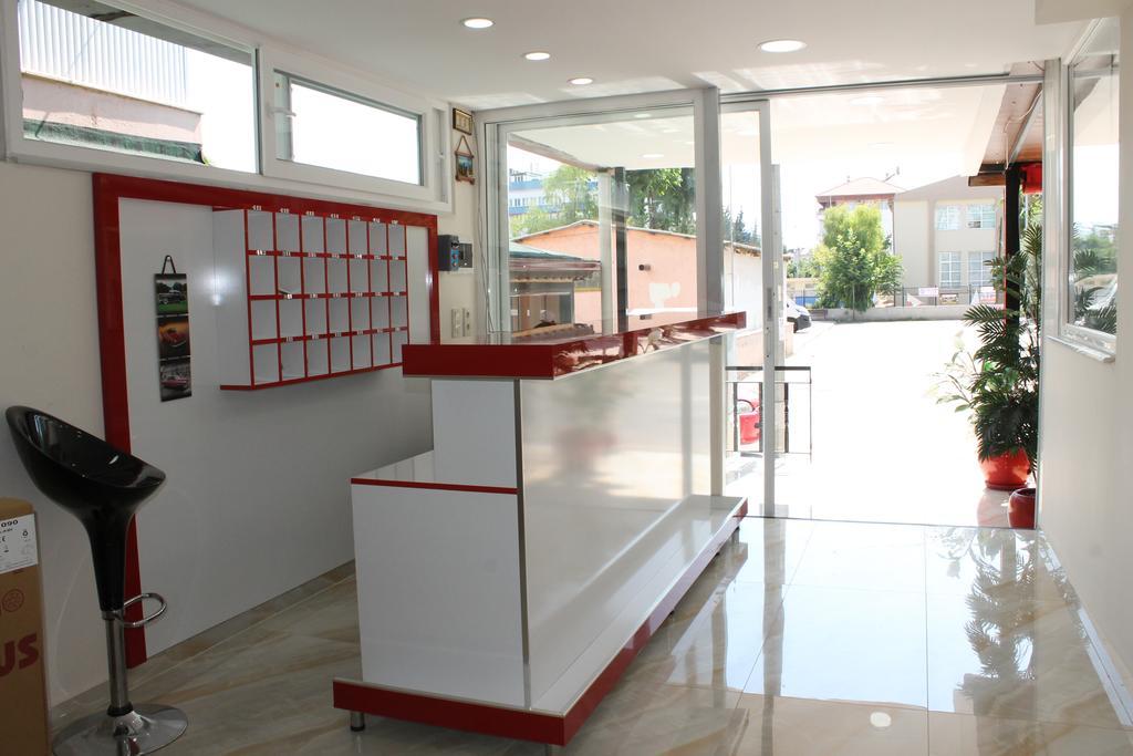 Mimoza Homestay