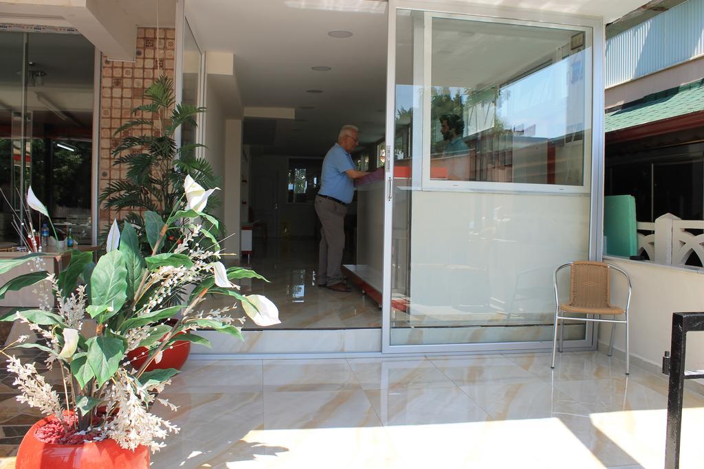 Mimoza Homestay