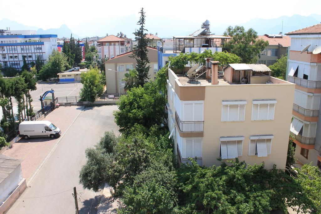 Mimoza Antalya