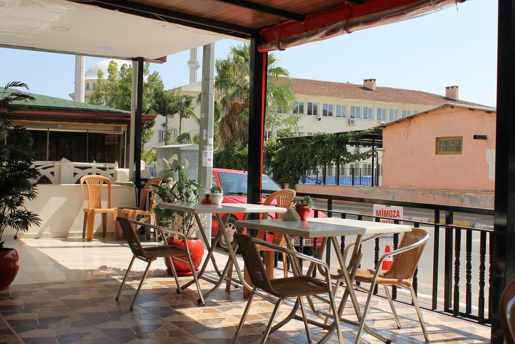 Mimoza Homestay