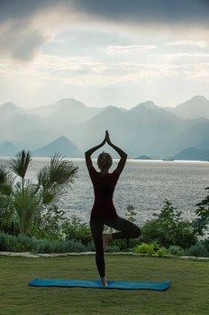 The Lifeco Well-being Detox Center And Vegan 3*