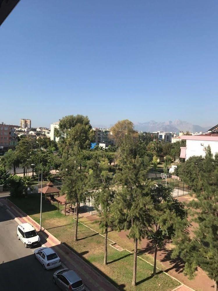 Mutado Hotel 2*