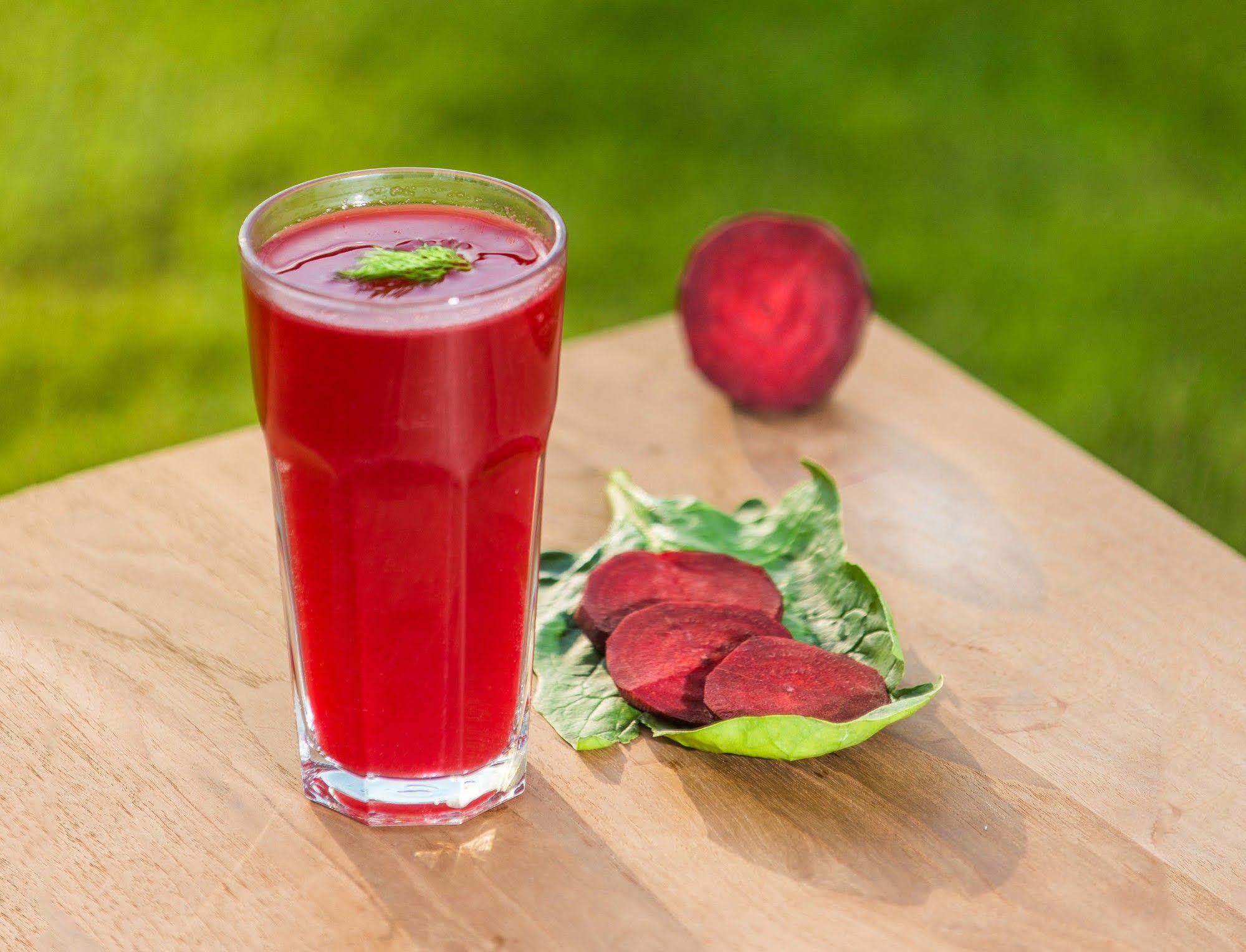 Hotel The Lifeco Well-being Detox Center And Vegan Antalya