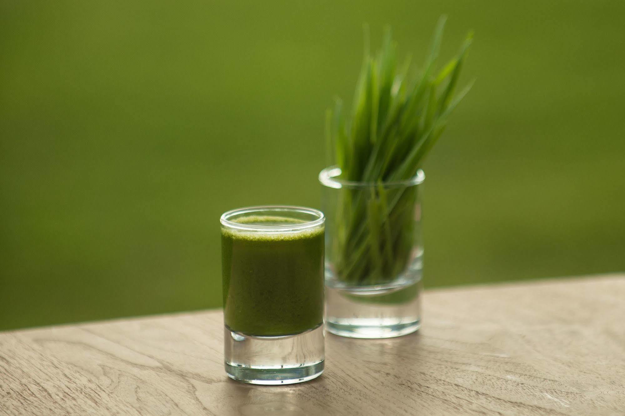 The Lifeco Well-being Detox Center And Vegan 3* Antalya