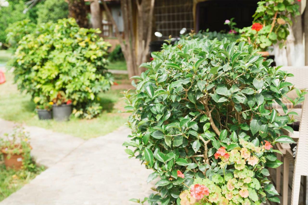 Village Garden Pansiyon *