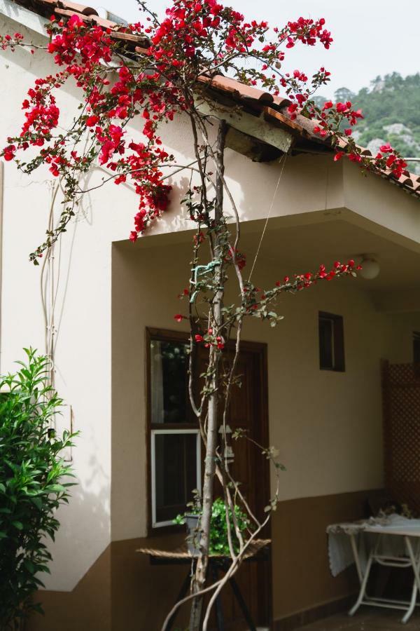 Village Garden Pansiyon