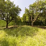 Peaceful Bungalow In Nature W Garden In Antalya